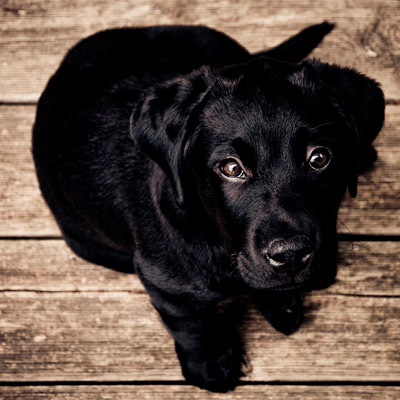 ip攻击器网页版