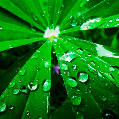 ddos在线压力测试平台