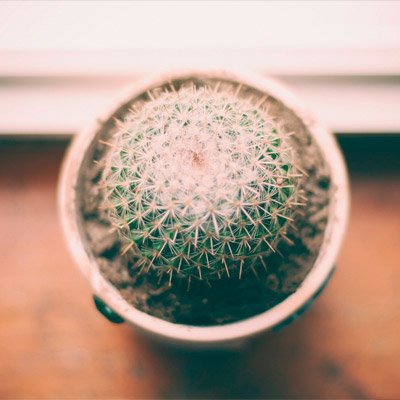 自动保存防丢的在线网站攻击