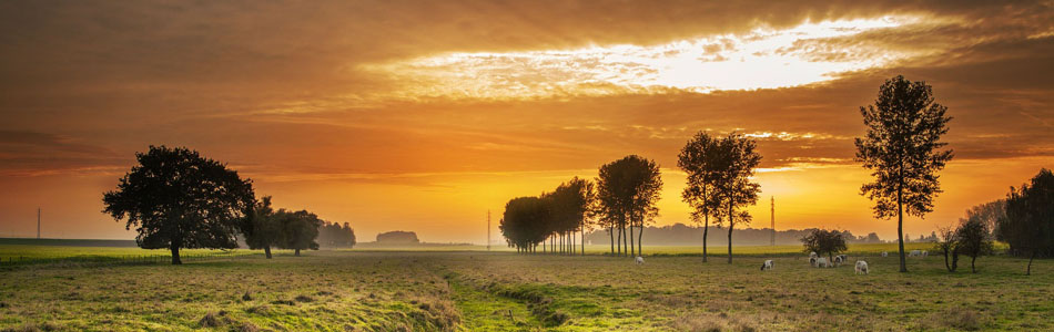 ddos攻击器安卓ios下载